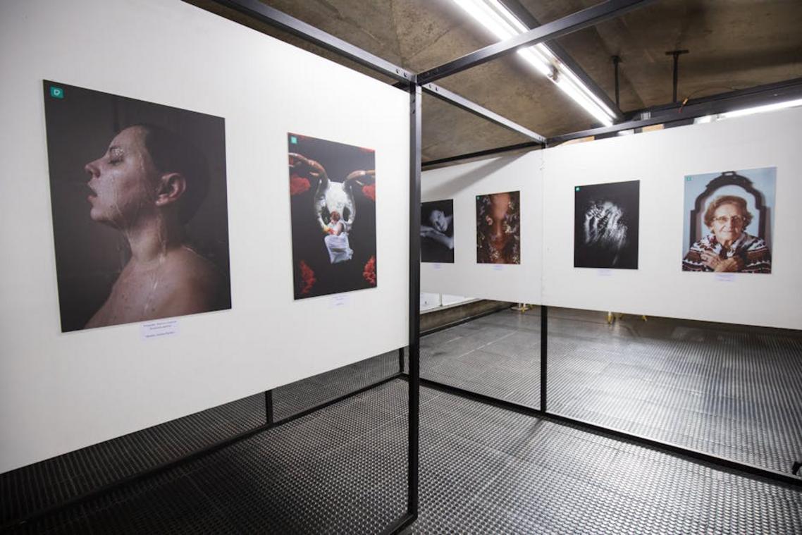 gallery installation