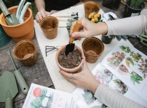 Garden Guide Homenumental