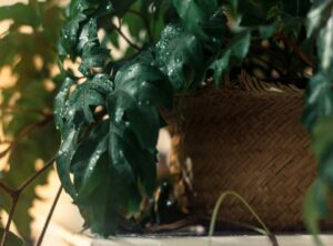 Home Decoration Ideas Ththomedec