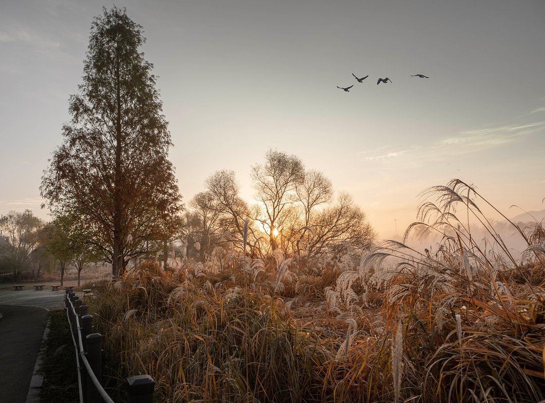 Visitor Experience and Accessibility