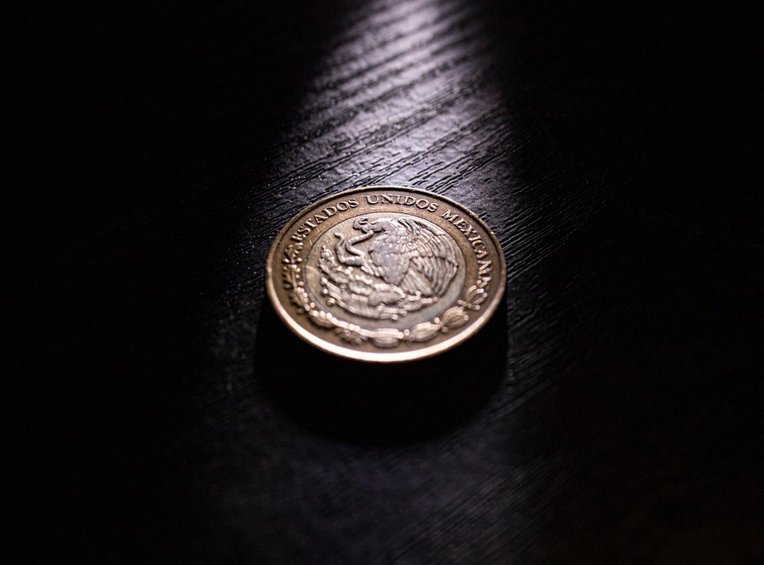 What Makes the Value of Pesos Change?