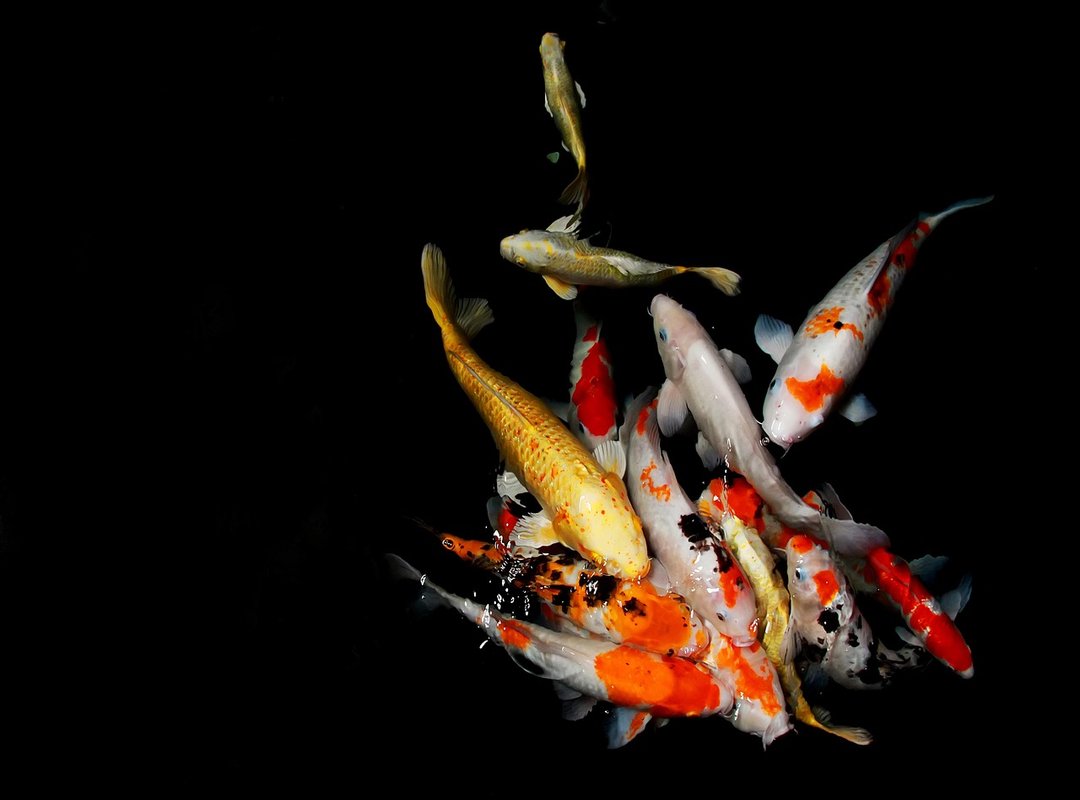 Factors That Influence Size and Perception