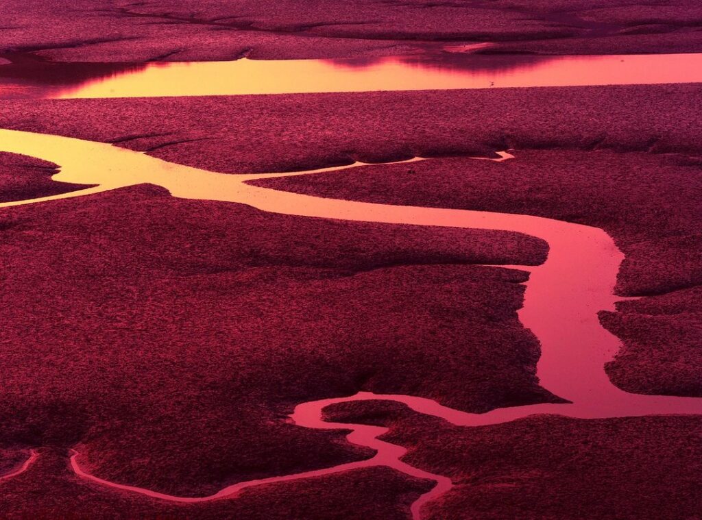 low tide in twilight chapter 73 release date