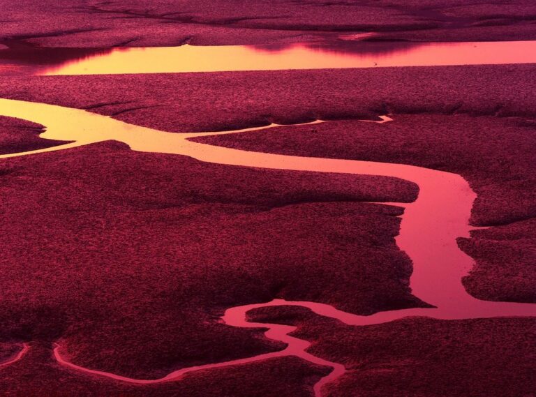 low tide in twilight chapter 73 release date