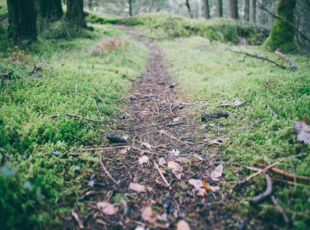 The Personal Touch: A 3-Step Guide to Creating Your Own Image