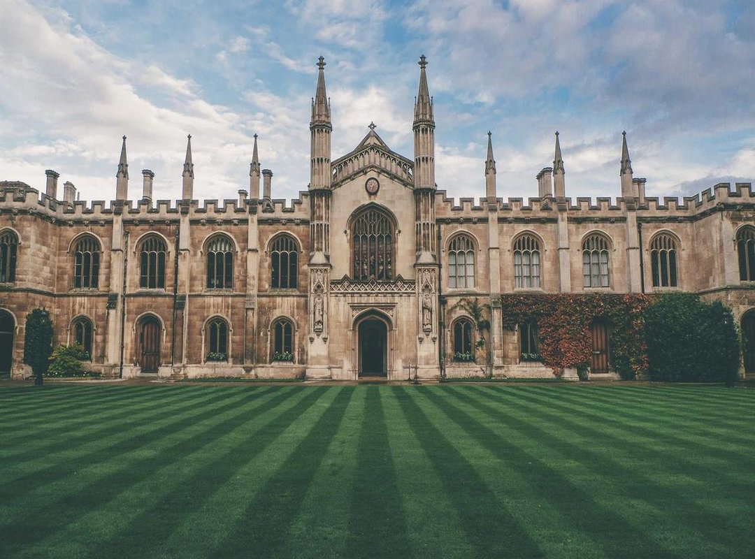Case Studies: Real-World Examples of SXX Value